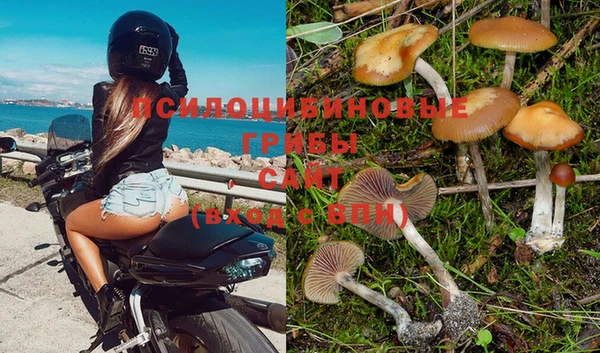 экстази Сатка