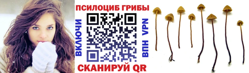 Галлюциногенные грибы мицелий Омутнинск